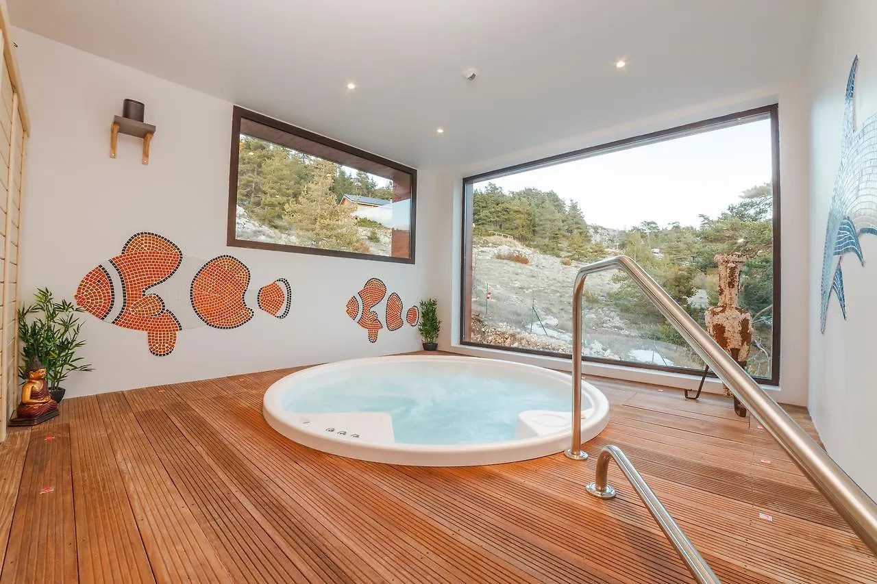 Chalet Alpina Aquarelax Hotel & Spa Greolieres les Neiges 3*,  France