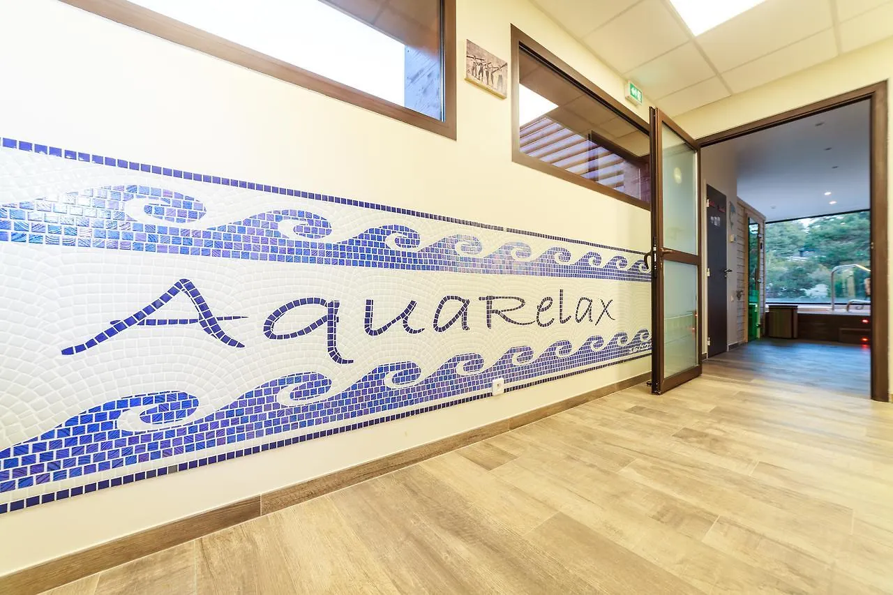 ***  Chalet Alpina Aquarelax Hotel & Spa Greolieres les Neiges France